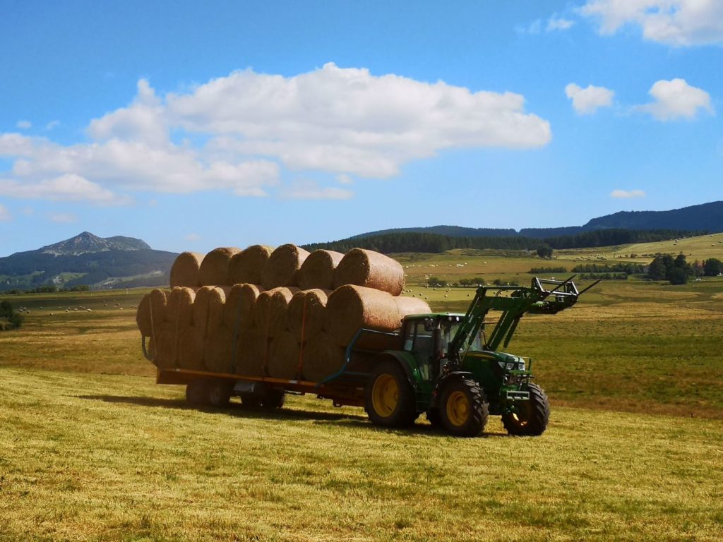 chargement de foin du Mézenc